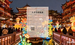 上海人才落户调档核档流程（上海落户调档后还有哪些步骤）