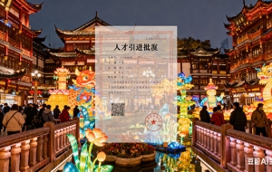 上海奉賢區人才落戶政策（人才落戶）