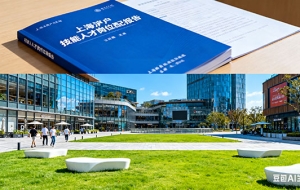 上海政府人才补贴政策落户有哪些规定（上海人才引进补贴政策）